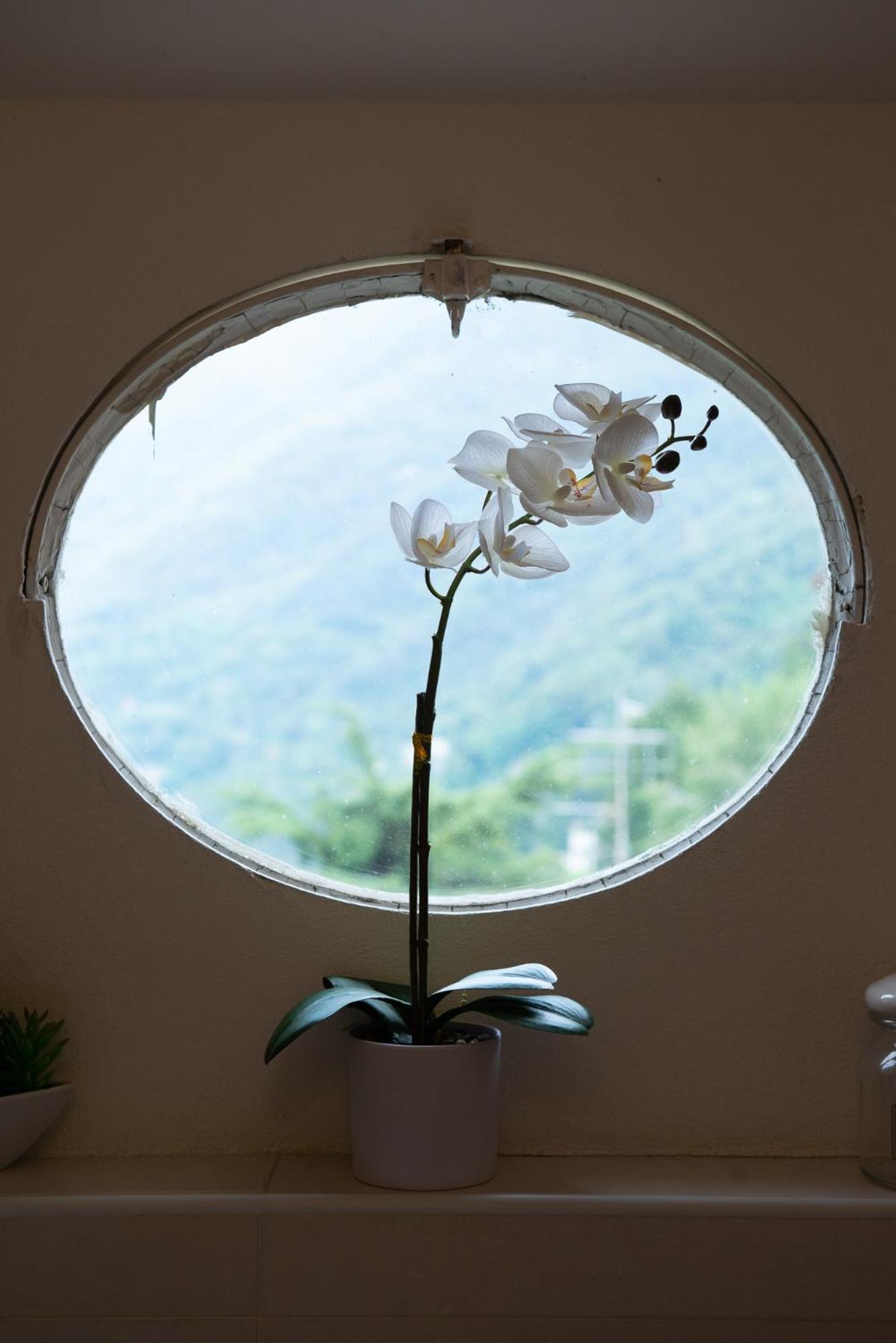 Faggeto Lario Appartamento "Bella Vista" Sul Lago Di Como מראה חיצוני תמונה